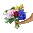 Bouquet of Hydrangeas and Spray Roses
